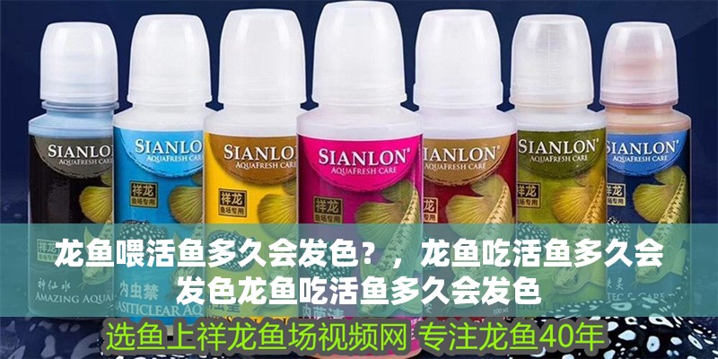 龍魚喂活魚多久會發(fā)色？，龍魚吃活魚多久會發(fā)色龍魚吃活魚多久會發(fā)色