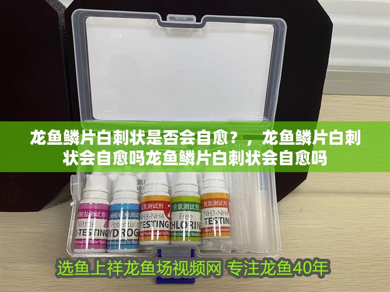 龍魚鱗片白刺狀是否會自愈？，龍魚鱗片白刺狀會自愈嗎龍魚鱗片白刺狀會自愈嗎