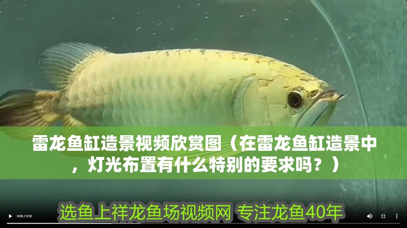 雷龍魚缸造景視頻欣賞圖（在雷龍魚缸造景中，燈光布置有什么特別的要求嗎？）