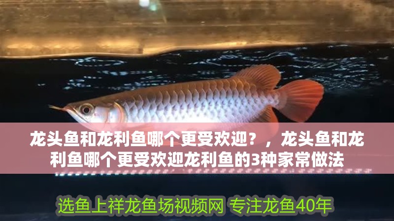 龍頭魚和龍利魚哪個更受歡迎？，龍頭魚和龍利魚哪個更受歡迎龍利魚的3種家常做法