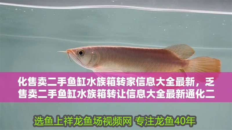 化售賣二手魚缸水族箱轉家信息大全最新，乏售賣二手魚缸水族箱轉讓信息大全最新通化二手魚缸轉讓信息大全