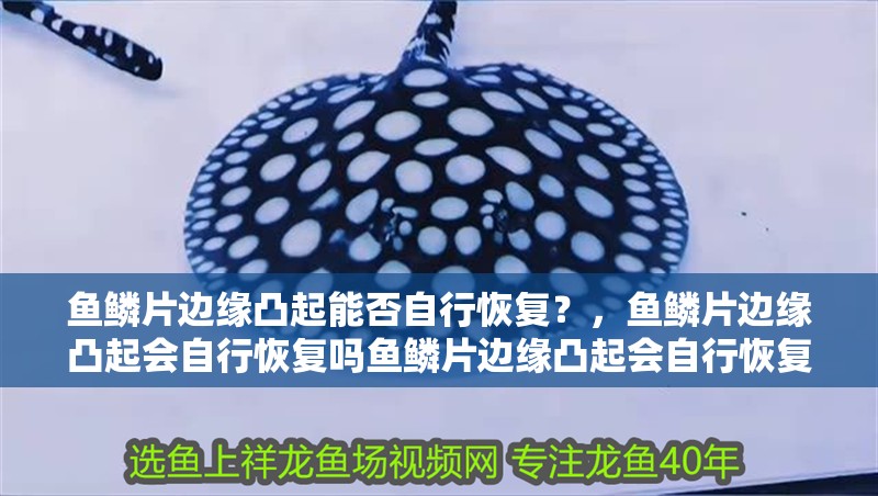 魚鱗片邊緣凸起能否自行恢復(fù)？，魚鱗片邊緣凸起會(huì)自行恢復(fù)嗎魚鱗片邊緣凸起會(huì)自行恢復(fù)嗎