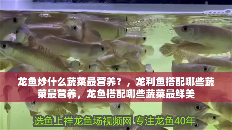 龍魚炒什么蔬菜最營養？，龍利魚搭配哪些蔬菜最營養，龍魚搭配哪些蔬菜最鮮美