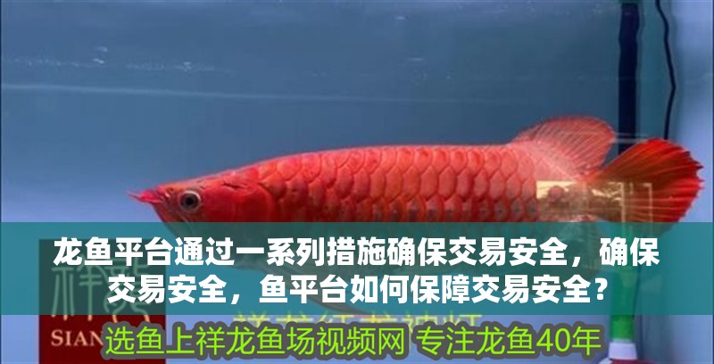 龍魚平臺通過一系列措施確保交易安全，確保交易安全，魚平臺如何保障交易安全？