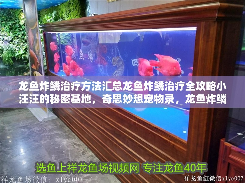 龍魚炸鱗治療方法匯總龍魚炸鱗治療全攻略小汪汪的秘密基地，奇思妙想寵物錄，龍魚炸鱗治療全攻略
