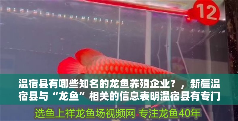 溫宿縣有哪些知名的龍魚養殖企業？，新疆溫宿縣與“龍魚”相關的信息表明溫宿縣有專門的“龍魚”養殖產業或相關企業