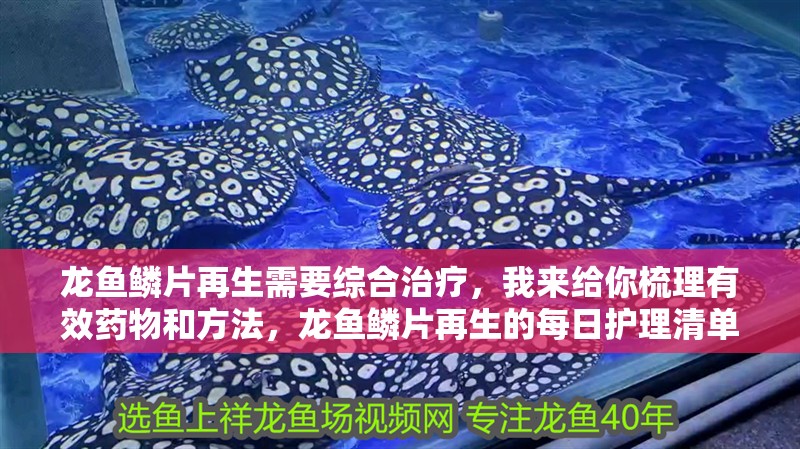 龍魚鱗片再生需要綜合治療，我來給你梳理有效藥物和方法，龍魚鱗片再生的每日護理清單
