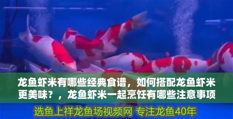 龍魚蝦米有哪些經典食譜，如何搭配龍魚蝦米更美味？，龍魚蝦米一起烹飪有哪些注意事項龍魚蝦米的黃金搭配速查表