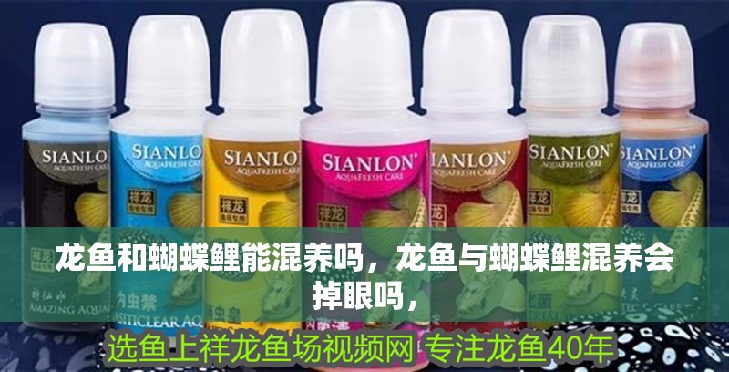 龍魚和蝴蝶鯉能混養(yǎng)嗎，龍魚與蝴蝶鯉混養(yǎng)會(huì)掉眼嗎，