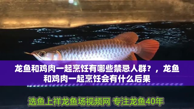 龍魚和雞肉一起烹飪有哪些禁忌人群？，龍魚和雞肉一起烹飪會(huì)有什么后果