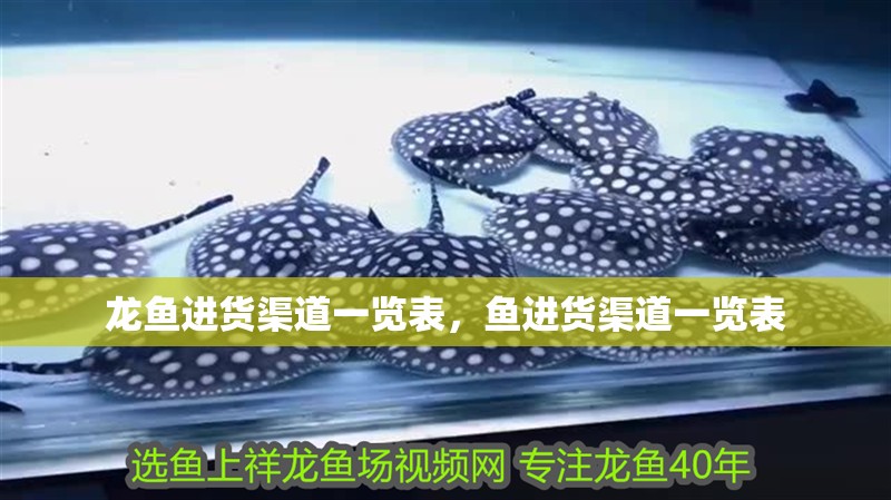 龍魚進貨渠道一覽表，魚進貨渠道一覽表