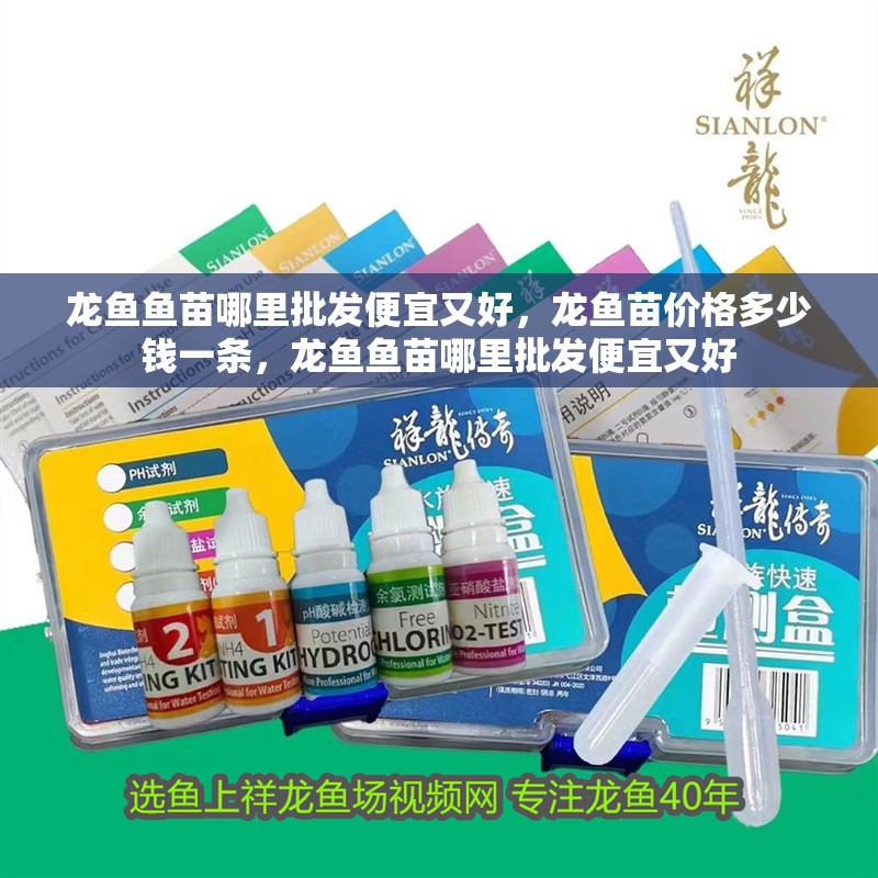 龍魚(yú)魚(yú)苗哪里批發(fā)便宜又好，龍魚(yú)苗價(jià)格多少錢一條，龍魚(yú)魚(yú)苗哪里批發(fā)便宜又好
