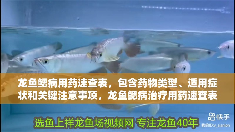 龍魚鰓病用藥速查表，包含藥物類型、適用癥狀和關(guān)鍵注意事項(xiàng)，龍魚鰓病治療用藥速查表