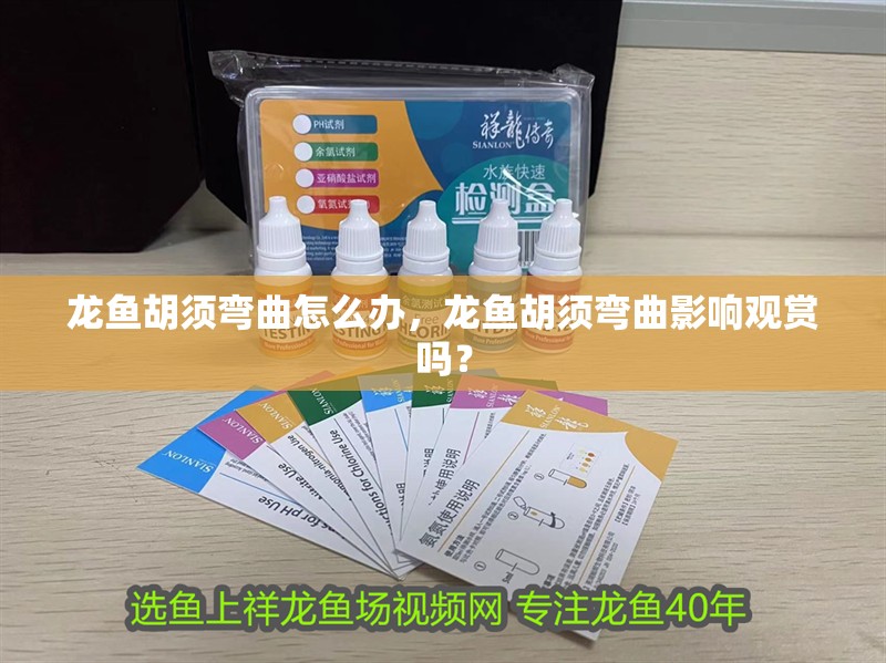 龍魚胡須彎曲怎么辦，龍魚胡須彎曲影響觀賞嗎？