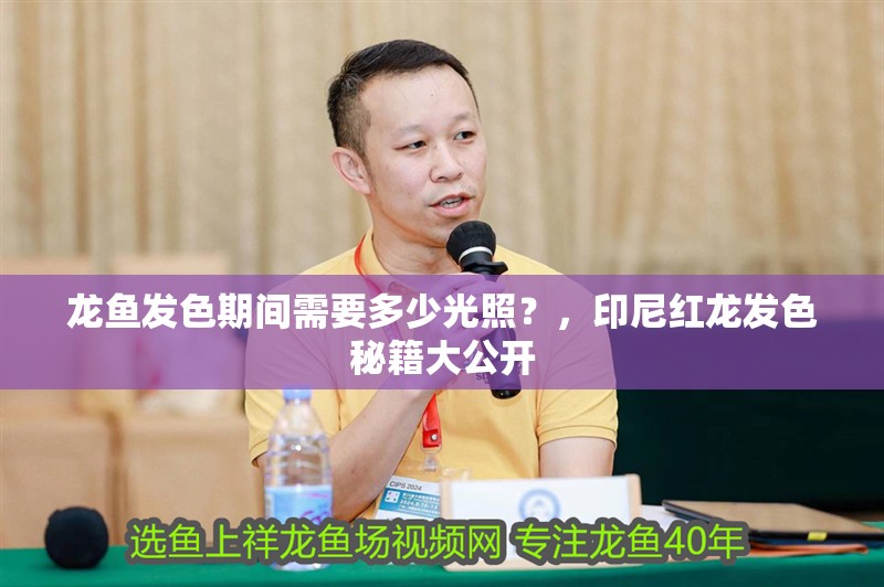 龍魚發色期間需要多少光照？，印尼紅龍發色秘籍大公開