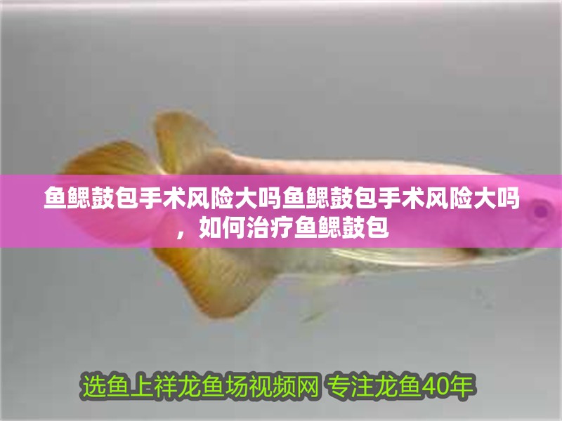 魚鰓鼓包手術風險大嗎魚鰓鼓包手術風險大嗎，如何治療魚鰓鼓包
