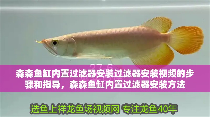 森森魚缸內置過濾器安裝過濾器安裝視頻的步驟和指導，森森魚缸內置過濾器安裝方法