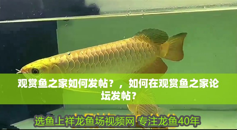 觀賞魚之家如何發(fā)帖？，如何在觀賞魚之家論壇發(fā)帖？