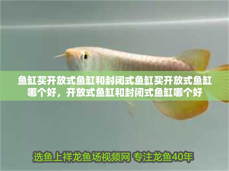 魚缸買開放式魚缸和封閉式魚缸買開放式魚缸哪個好，開放式魚缸和封閉式魚缸哪個好