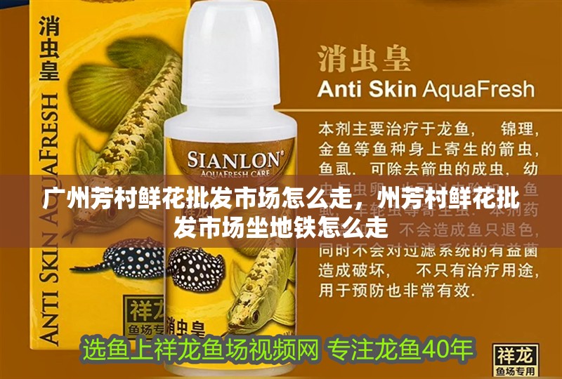 廣州芳村鮮花批發市場怎么走，州芳村鮮花批發市場坐地鐵怎么走