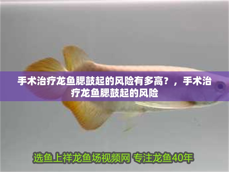 手術治療龍魚腮鼓起的風險有多高？，手術治療龍魚腮鼓起的風險