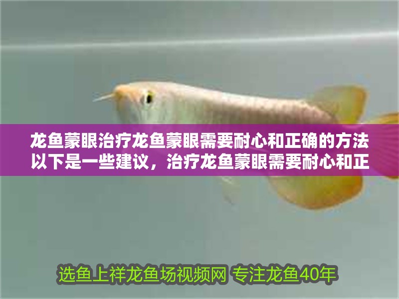 龍魚蒙眼治療龍魚蒙眼需要耐心和正確的方法以下是一些建議，治療龍魚蒙眼需要耐心和正確的方法