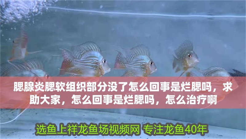 腮腺炎腮軟組織部分沒了怎么回事是爛腮嗎，求助大家，怎么回事是爛腮嗎，怎么治療啊