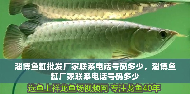 淄博魚缸批發廠家聯系電話號碼多少，淄博魚缸廠家聯系電話號碼多少