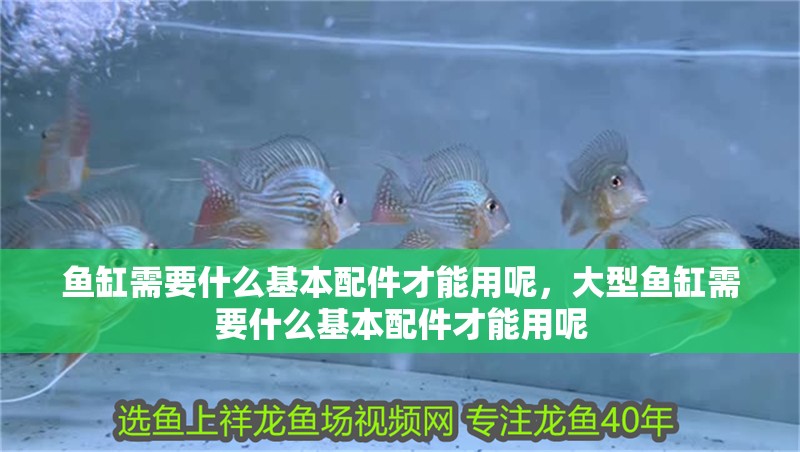 魚缸需要什么基本配件才能用呢，大型魚缸需要什么基本配件才能用呢