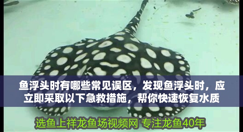 魚浮頭時(shí)有哪些常見誤區(qū)，發(fā)現(xiàn)魚浮頭時(shí)，應(yīng)立即采取以下急救措施，幫你快速恢復(fù)水質(zhì)