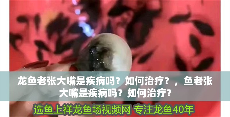 龍魚老張大嘴是疾病嗎？如何治療？，魚老張大嘴是疾病嗎？如何治療？