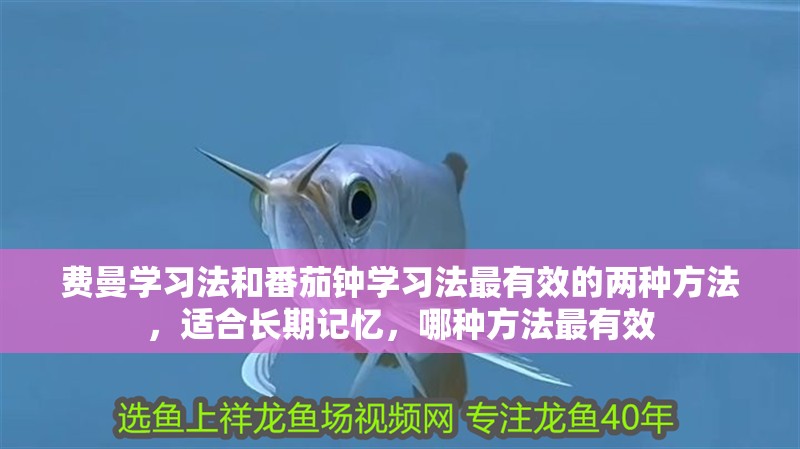 費曼學習法和番茄鐘學習法最有效的兩種方法，適合長期記憶，哪種方法最有效