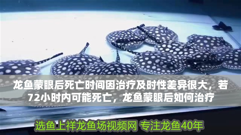 龍魚蒙眼后死亡時(shí)間因治療及時(shí)性差異很大，若72小時(shí)內(nèi)可能死亡，龍魚蒙眼后如何治療