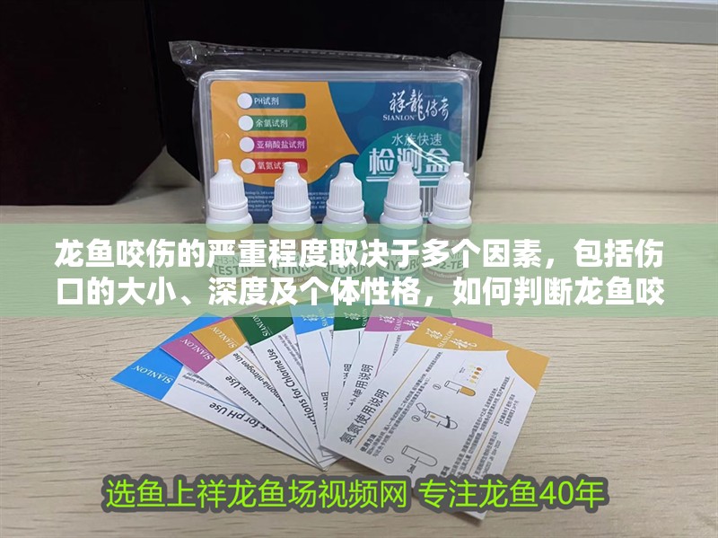 龍魚咬傷的嚴重程度取決于多個因素，包括傷口的大小、深度及個體性格，如何判斷龍魚咬傷是否嚴重