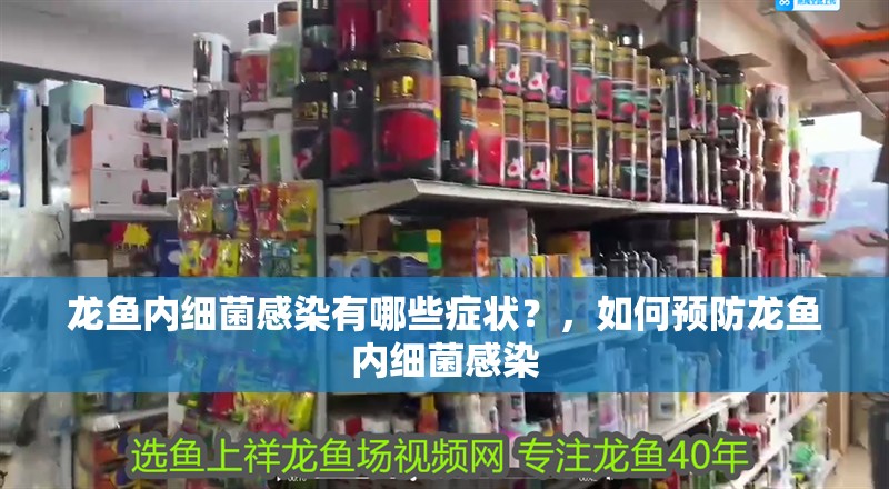 龍魚內細菌感染有哪些癥狀？，如何預防龍魚內細菌感染