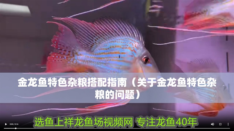 金龍魚特色雜糧搭配指南（關(guān)于金龍魚特色雜糧的問題）