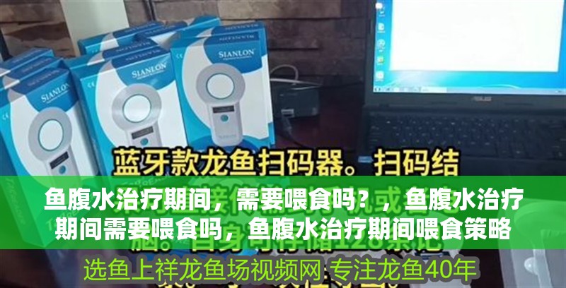 魚腹水治療期間，需要喂食嗎？，魚腹水治療期間需要喂食嗎，魚腹水治療期間喂食策略