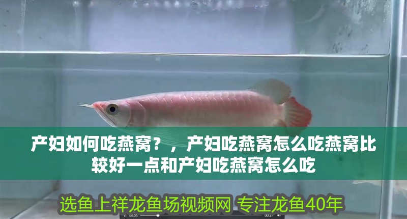 產婦如何吃燕窩？，產婦吃燕窩怎么吃燕窩比較好一點和產婦吃燕窩怎么吃