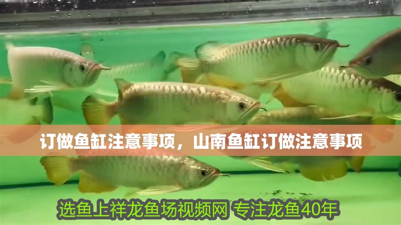 訂做魚缸注意事項，山南魚缸訂做注意事項