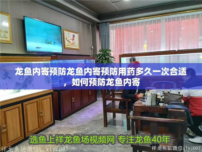 龍魚內寄預防龍魚內寄預防用藥多久一次合適，如何預防龍魚內寄