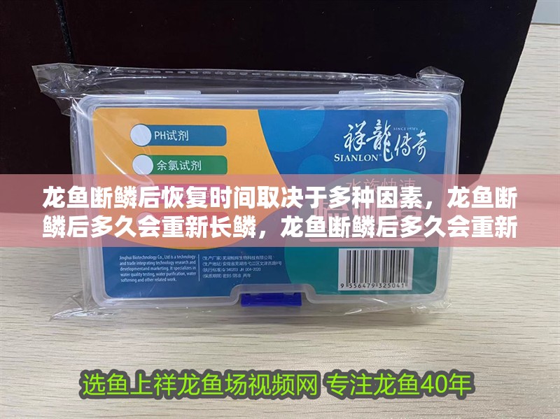 龍魚斷鱗后恢復時間取決于多種因素，龍魚斷鱗后多久會重新長鱗，龍魚斷鱗后多久會重新長鱗？