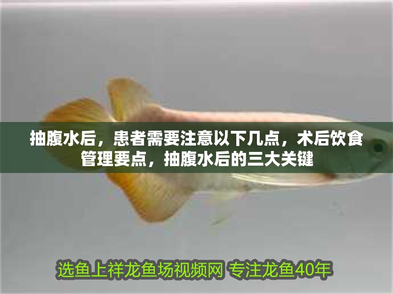 抽腹水后，患者需要注意以下幾點(diǎn)，術(shù)后飲食管理要點(diǎn)，抽腹水后的三大關(guān)鍵