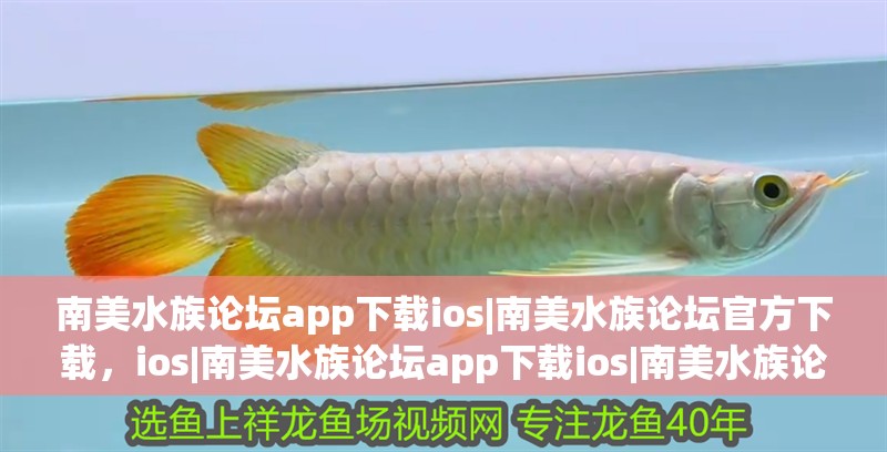 南美水族論壇app下載ios|南美水族論壇官方下載，ios|南美水族論壇app下載ios|南美水族論壇app下載