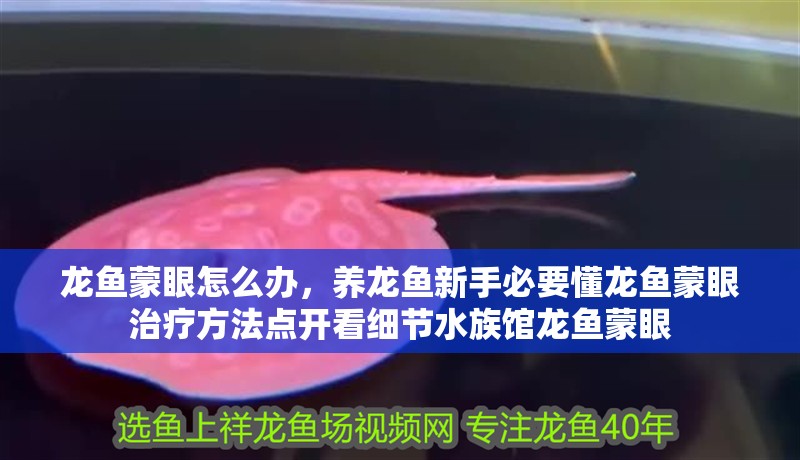 龍魚蒙眼怎么辦，養龍魚新手必要懂龍魚蒙眼治療方法點開看細節水族館龍魚蒙眼