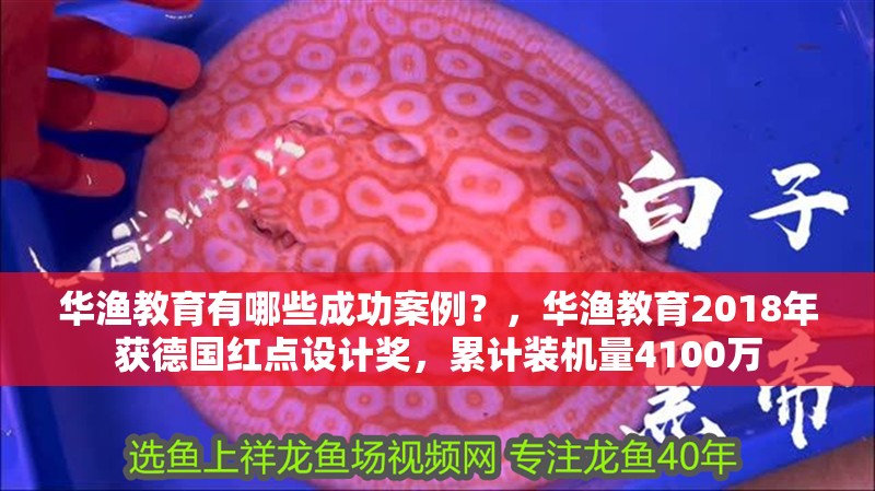 華漁教育有哪些成功案例？，華漁教育2018年獲德國紅點設計獎，累計裝機量4100萬