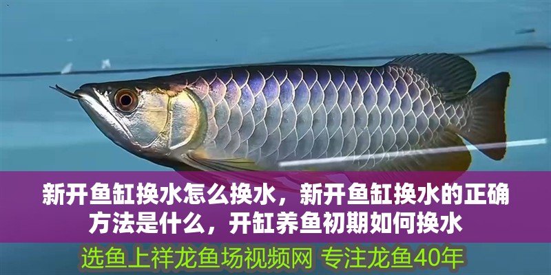 新開魚缸換水怎么換水，新開魚缸換水的正確方法是什么，開缸養(yǎng)魚初期如何換水