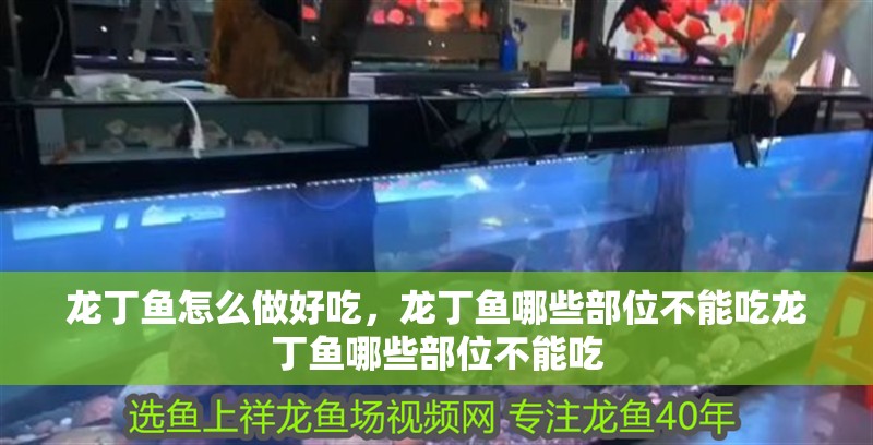 龍丁魚怎么做好吃，龍丁魚哪些部位不能吃龍丁魚哪些部位不能吃
