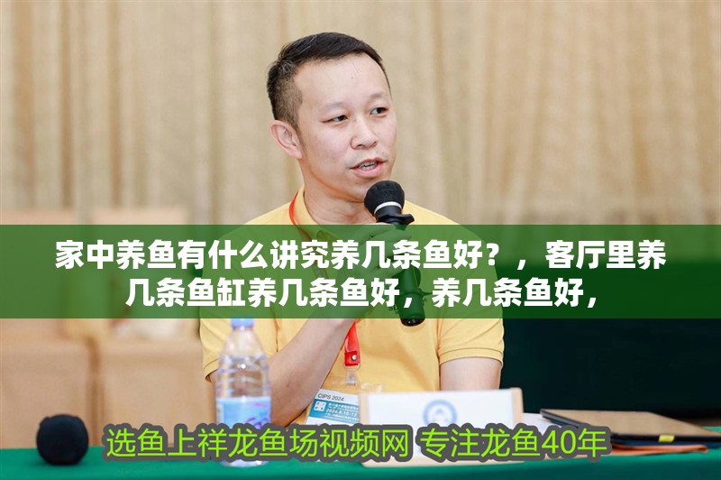 家中養魚有什么講究養幾條魚好？，客廳里養幾條魚缸養幾條魚好，養幾條魚好，