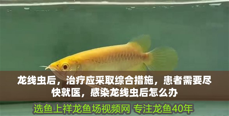 龍線蟲后，治療應采取綜合措施，患者需要盡快就醫，感染龍線蟲后怎么辦