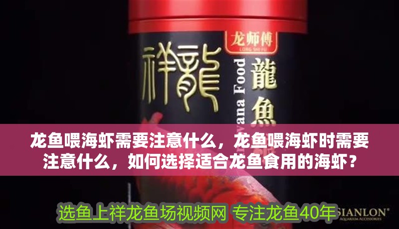 龍魚喂海蝦需要注意什么，龍魚喂海蝦時需要注意什么，如何選擇適合龍魚食用的海蝦？